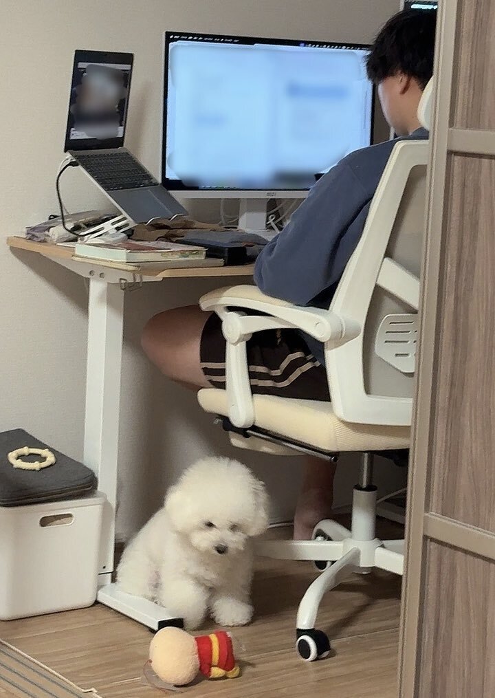 snow man 1st pop-up プリクラ」のYahoo!リアルタイム検索 - X（旧