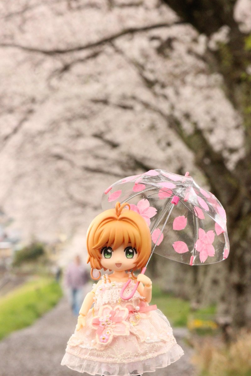 木之本桜」のYahoo!リアルタイム検索 - X(旧Twitter)を 木之本桜」のYahoo!リアルタイム検索 - X(旧Twitter)を