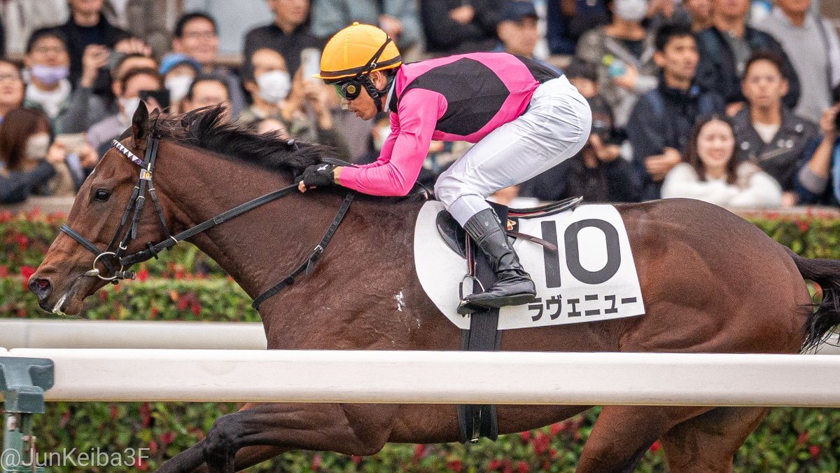 ラヴェニュー、圧勝で未来へ期待