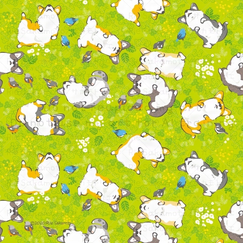 コーギーがSNSで話題に！その理由は？