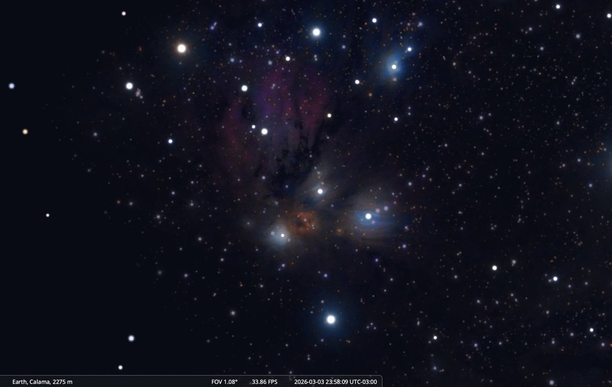 「アゲハ蝶」ドラマ主題歌に！SNSで話題沸騰