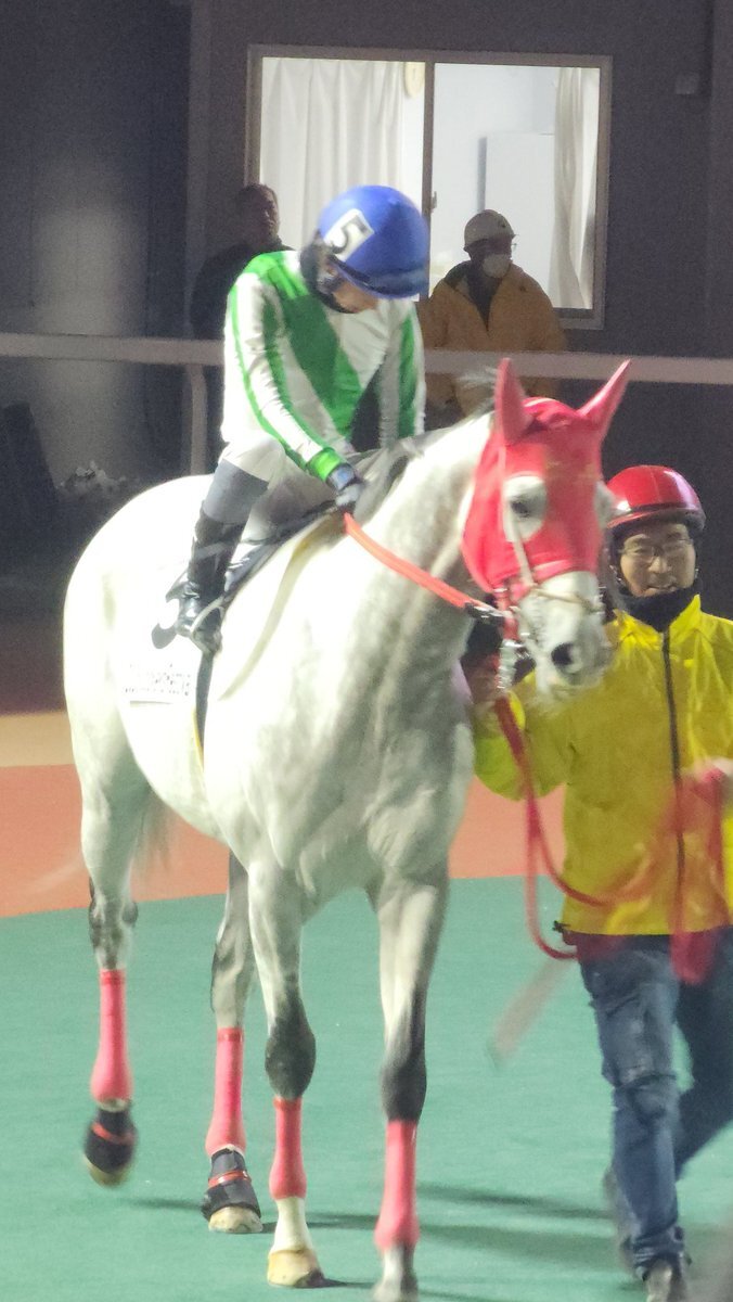 早い者勝ち❗️ XP750A 防雨型人感センサー 人感チャイムセット リーベックス