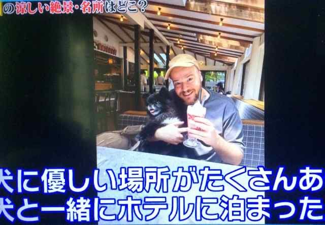 qさま」のYahoo!リアルタイム検索 - X（旧Twitter）を