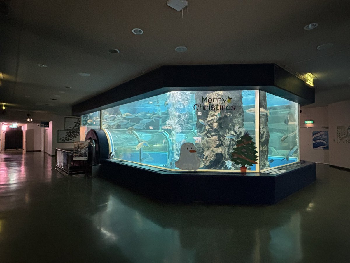 魚津水族館、平日の穴場スポットとして話題に