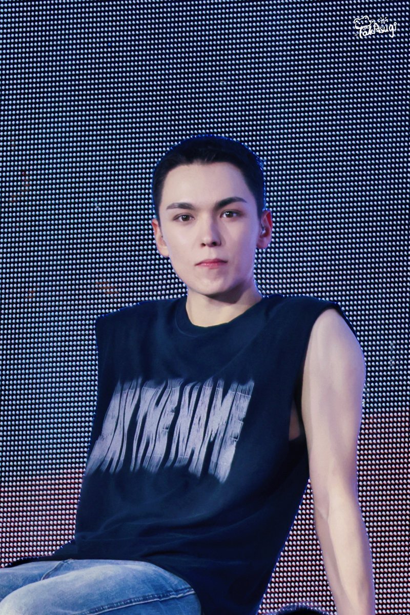 SEVENTEEN バーノンまとめ売り VERNON SEVENTEEN セブチ VERNONバーノン まとめ売り - メルカリ
