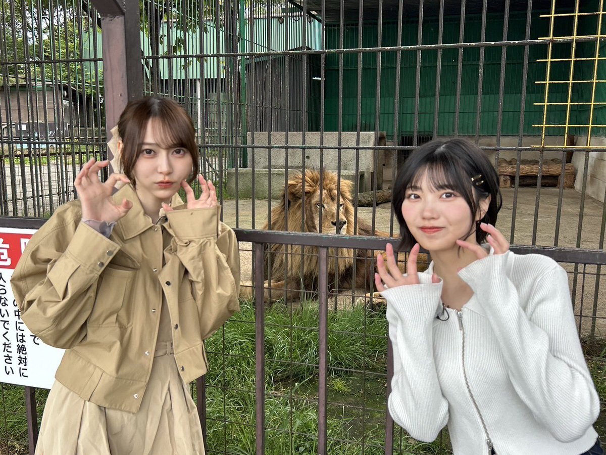 まつこページ 乃木坂逃避行」のYahoo!リアルタイム検索 - X（旧Twitter）を