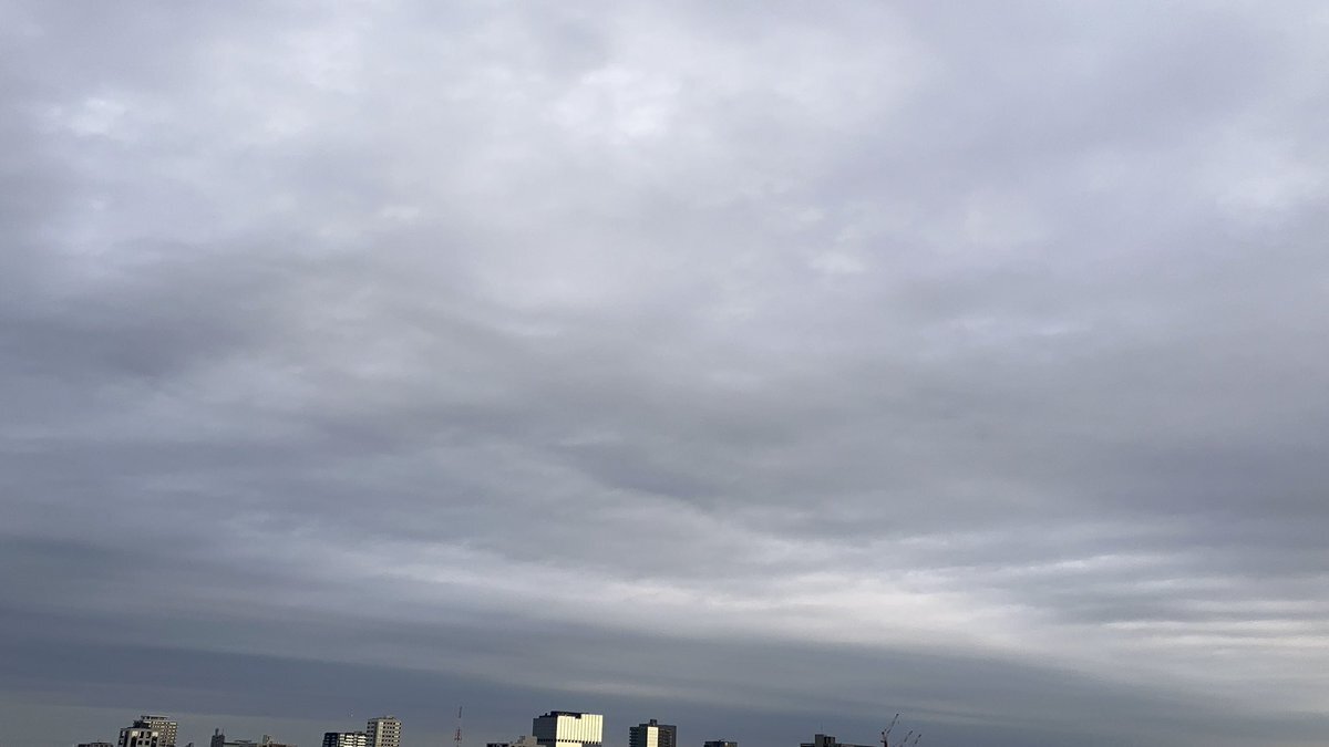 「土曜はナニする」やす子福袋にケルヒャー登場！視聴者「欲しい！」の声