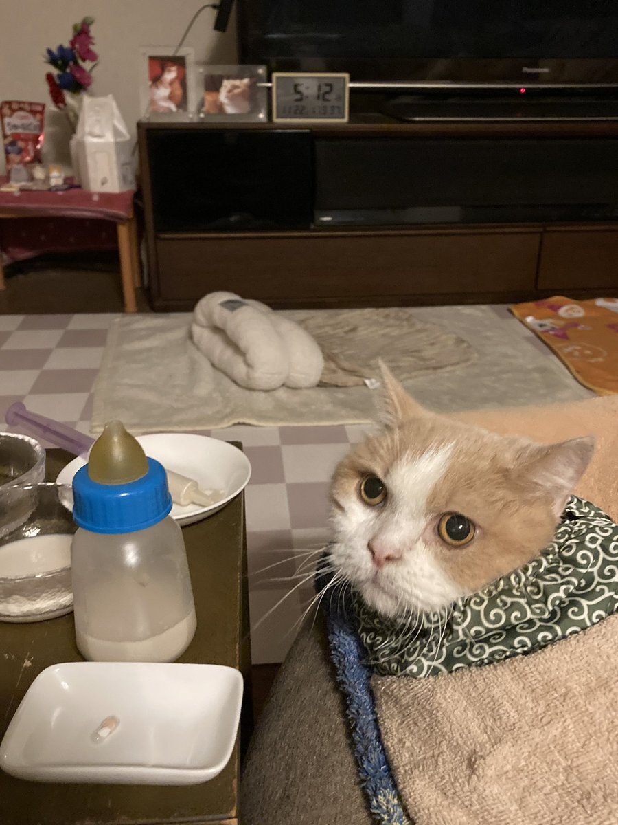 土曜出勤、頑張る気持ちと疲れをSNSで共有