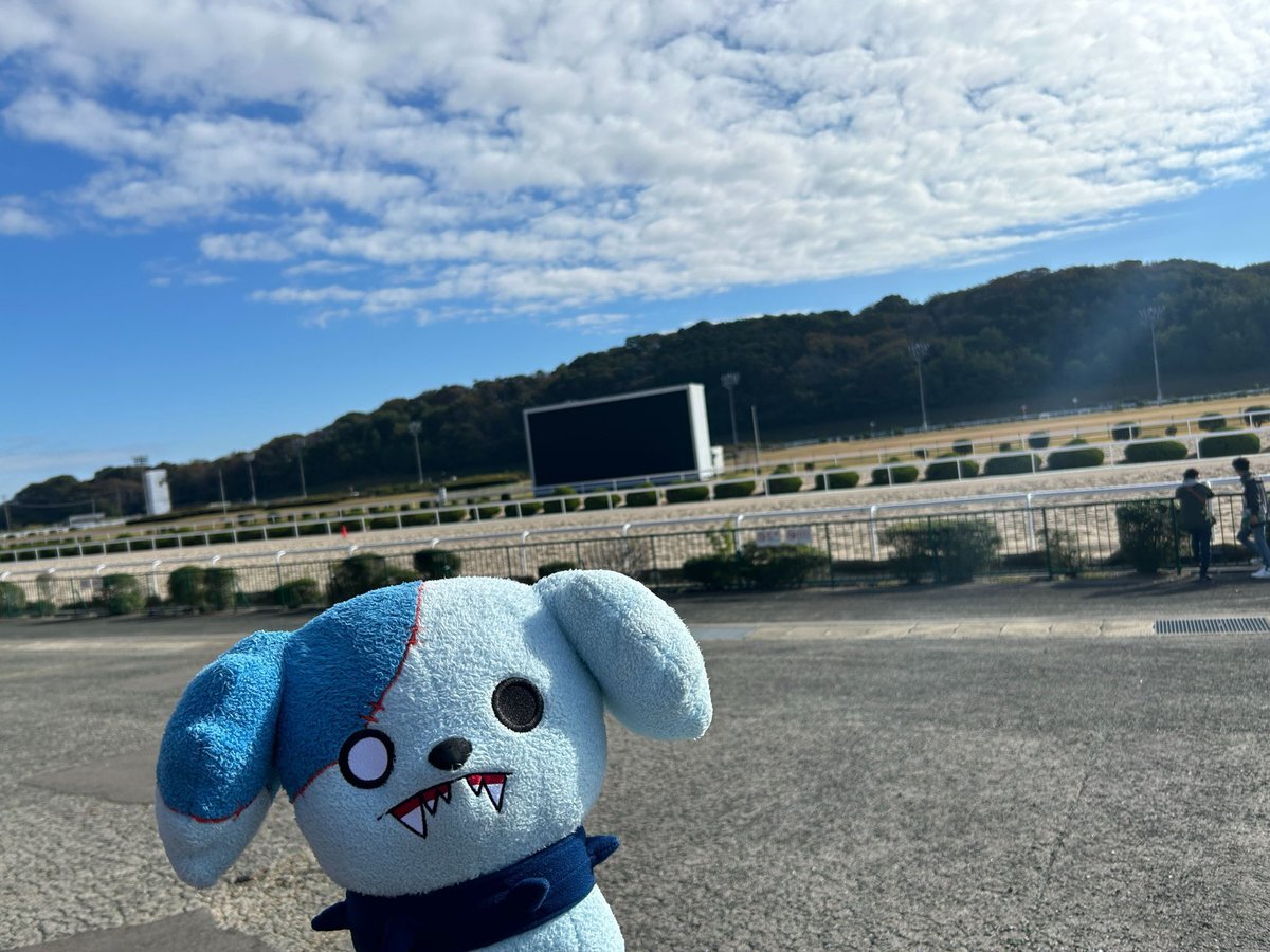 ウマ娘×ゾンビランドサガコラボ！佐賀競馬場が盛り上がる