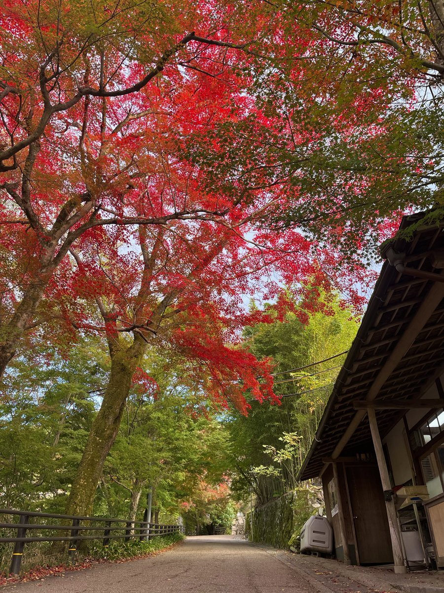 電池の日、一体なぜ重要なの？