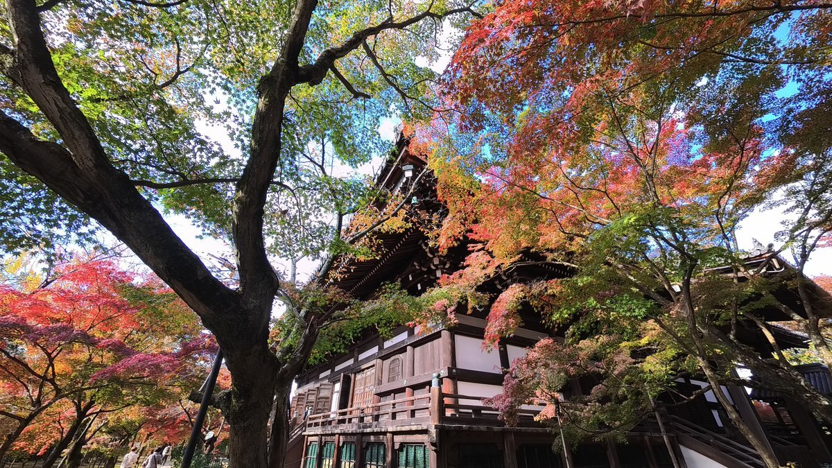 国会議員給与増報道にネット批判殺到