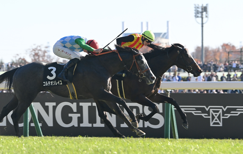 ドリームコア、ベゴニア賞で2勝目！父キズナ、母ノームコアの良血馬が勝利