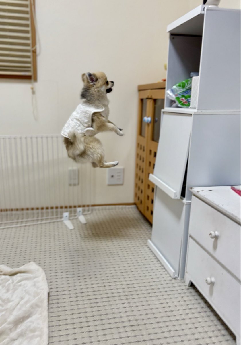 ケイティ・ペリー」のYahoo!リアルタイム検索 - X（旧Twitter）を