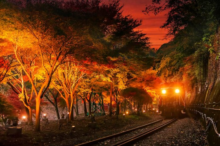 常盤貴子、あさイチで京都旅！ファン「素敵」「かっこいい」の声