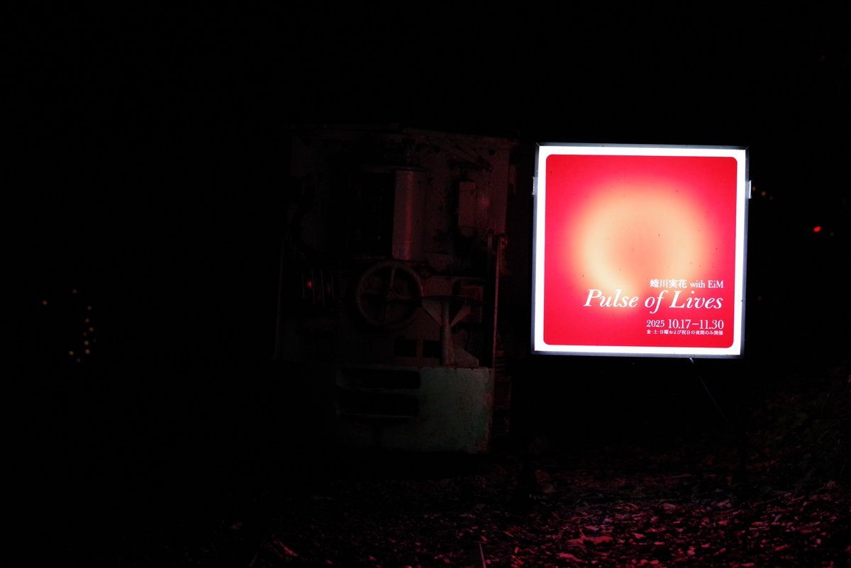 蜷川実花さん、様々な場所で活躍中！