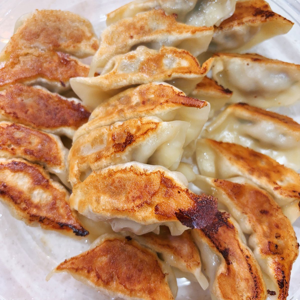 SNSで話題の日常！ユーザーが語る悩みや喜びとは？