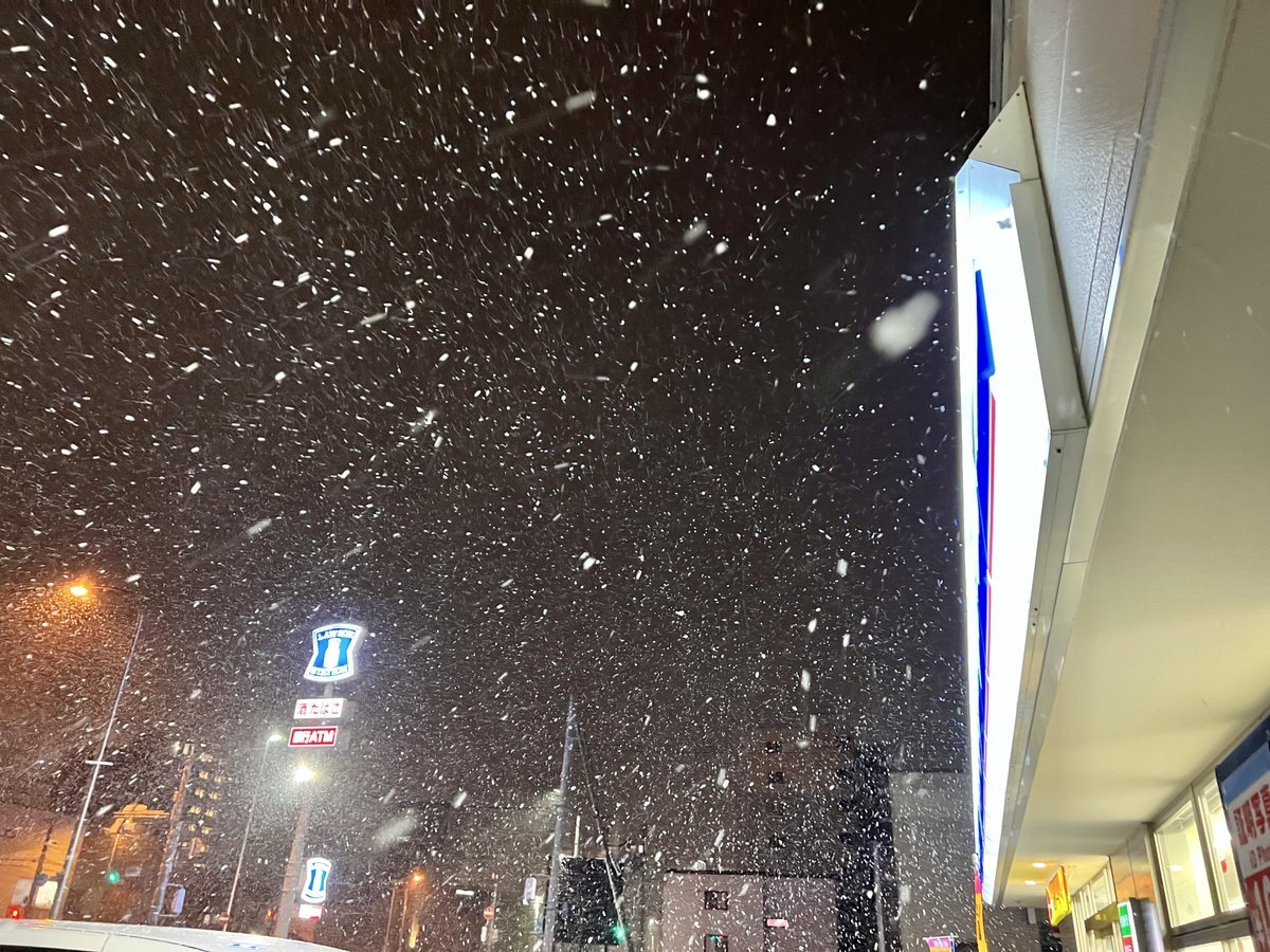 雪が降ってきた！みんなどうしてる？