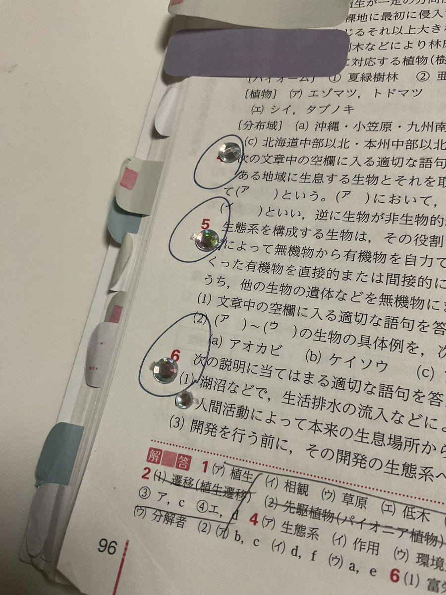 エビフライ」のYahoo!リアルタイム検索 - X（旧Twitter）を