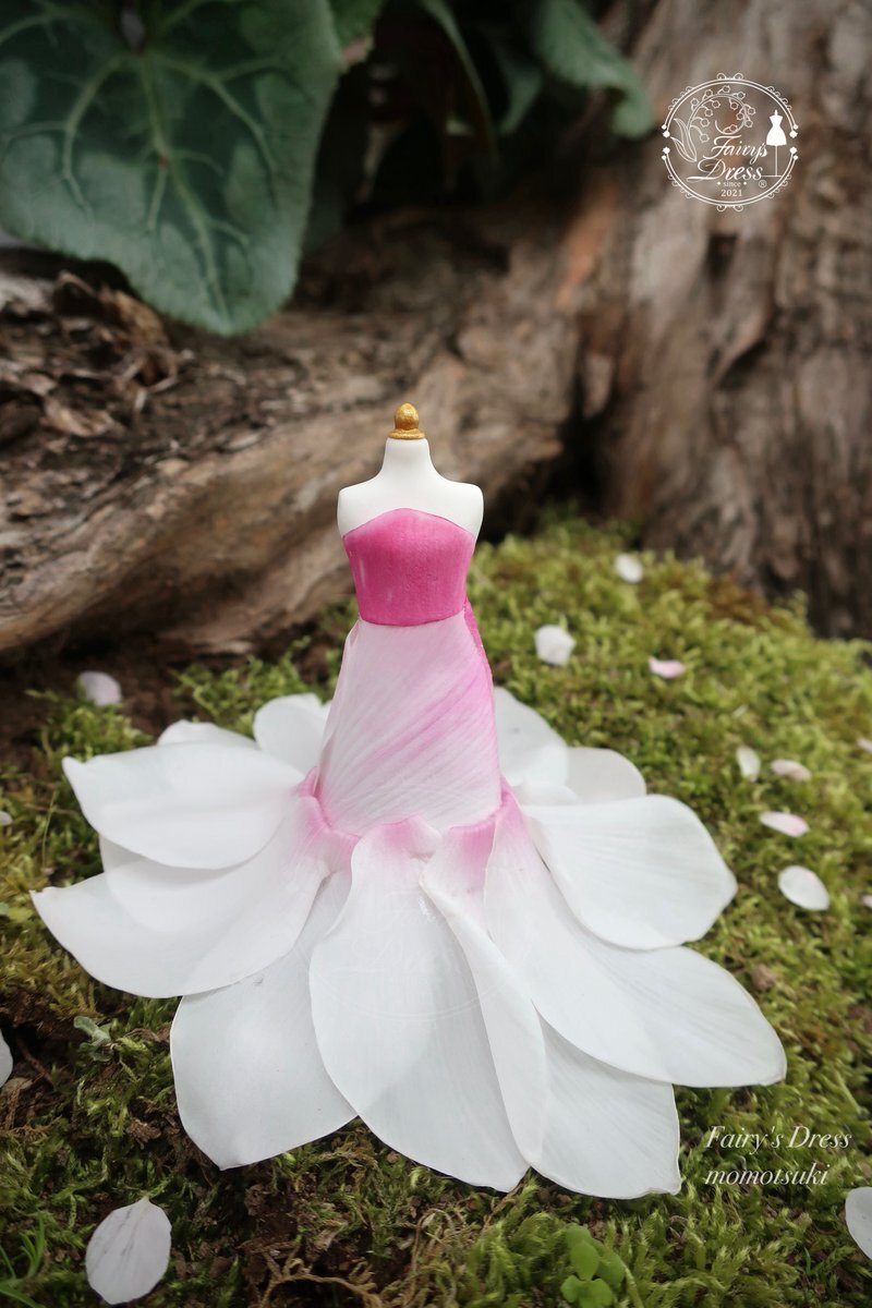 シクラメン」のYahoo!リアルタイム検索 - X（旧Twitter）を