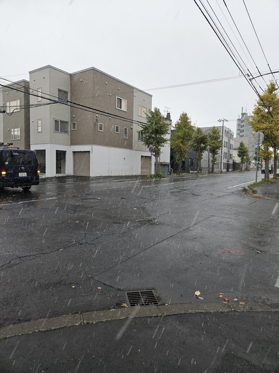 雪が降ってきた！ 