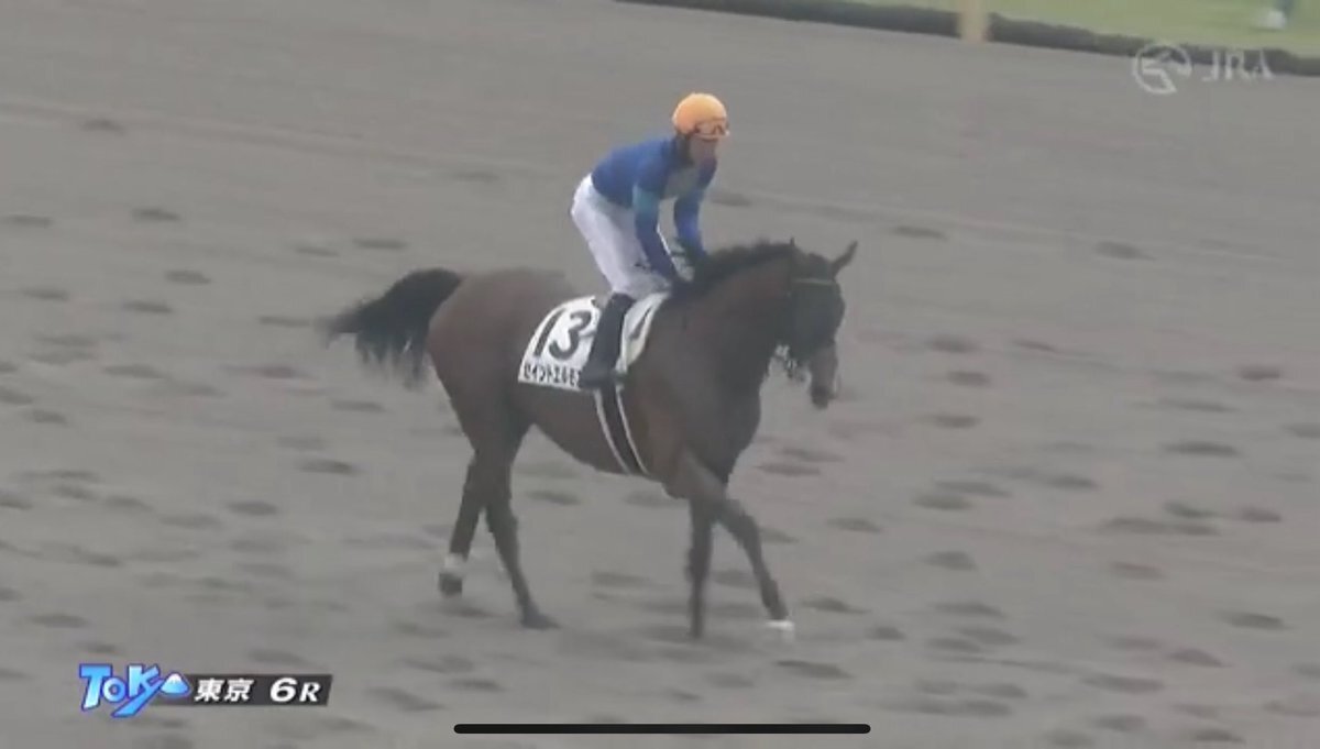 カナタコナタ、東京競馬で3着！今後の活躍に期待は高まる？