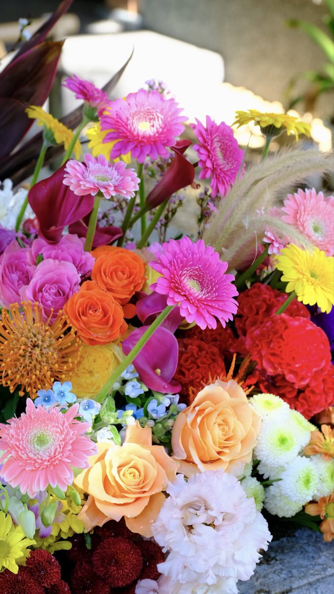 日曜の過ごし方は？ 雨模様の中、人々の過ごし方とは？