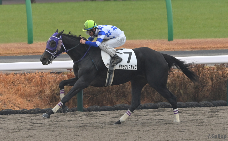 ダカラフェスティヴ、中山競馬で圧勝！  ファン「スタミナお化け」