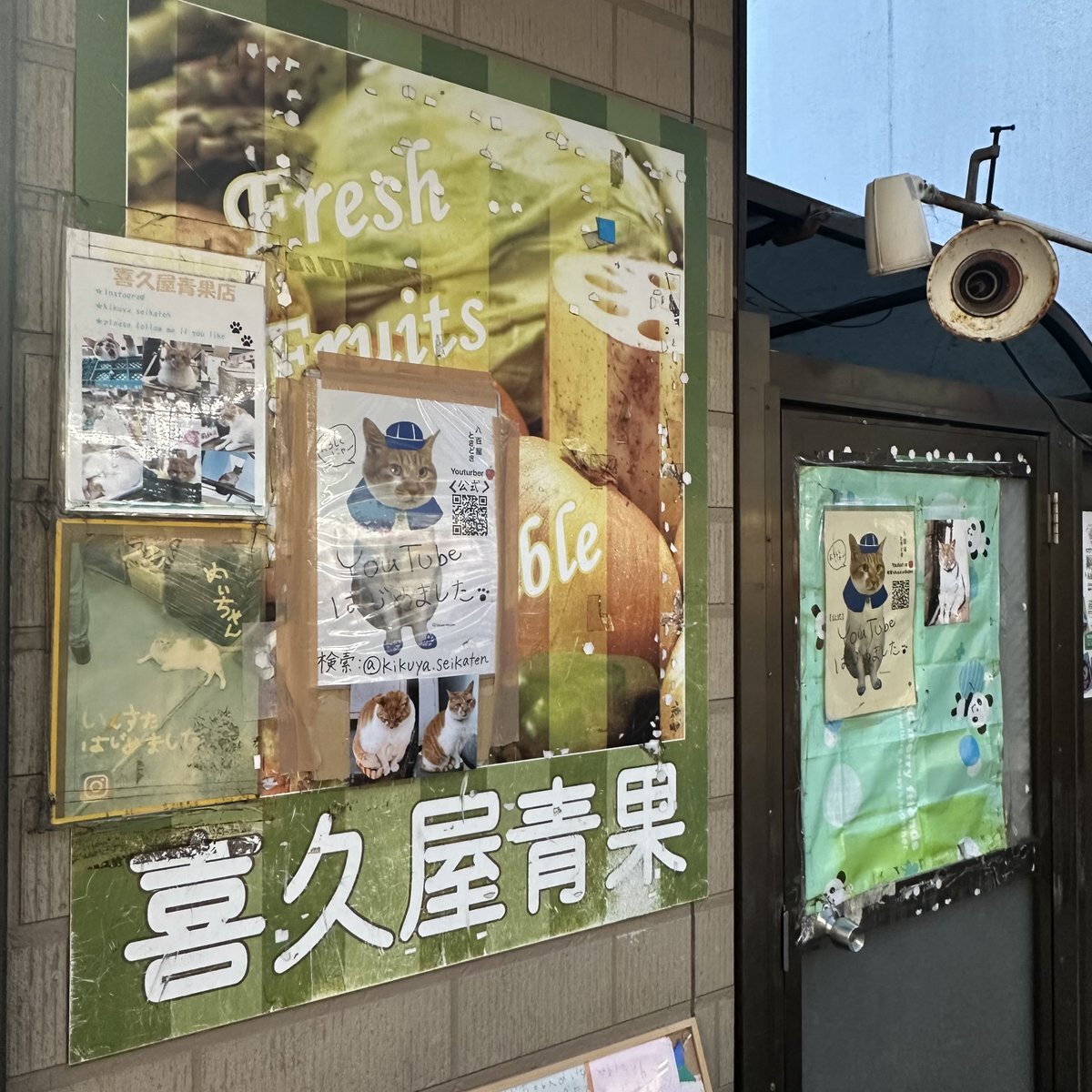 翔ちゃんさんページ 新品未開封 DVD こどものおもちゃ [中学生編] DVD-BOX1 (初回