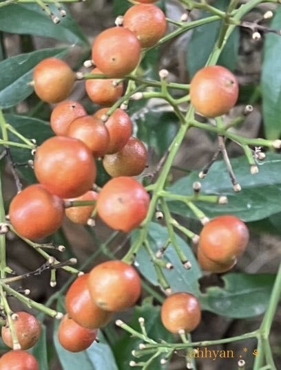 風邪予防、みんなはどうしてる？