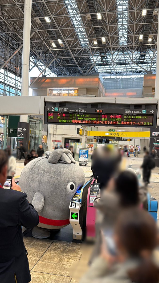 がったになります。 未使用 theo テオ メガネフレーム Tarifa ベルギー製 タリファ