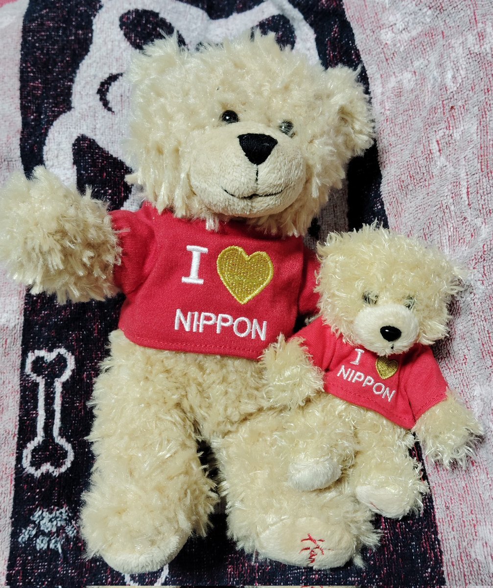 フォロバ希望の投稿が話題に