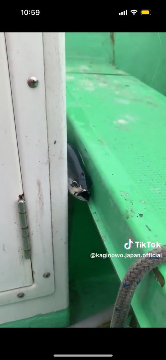 ダルビッシュ、山本由伸のMVP祝いに集う！WBC参加も話題に