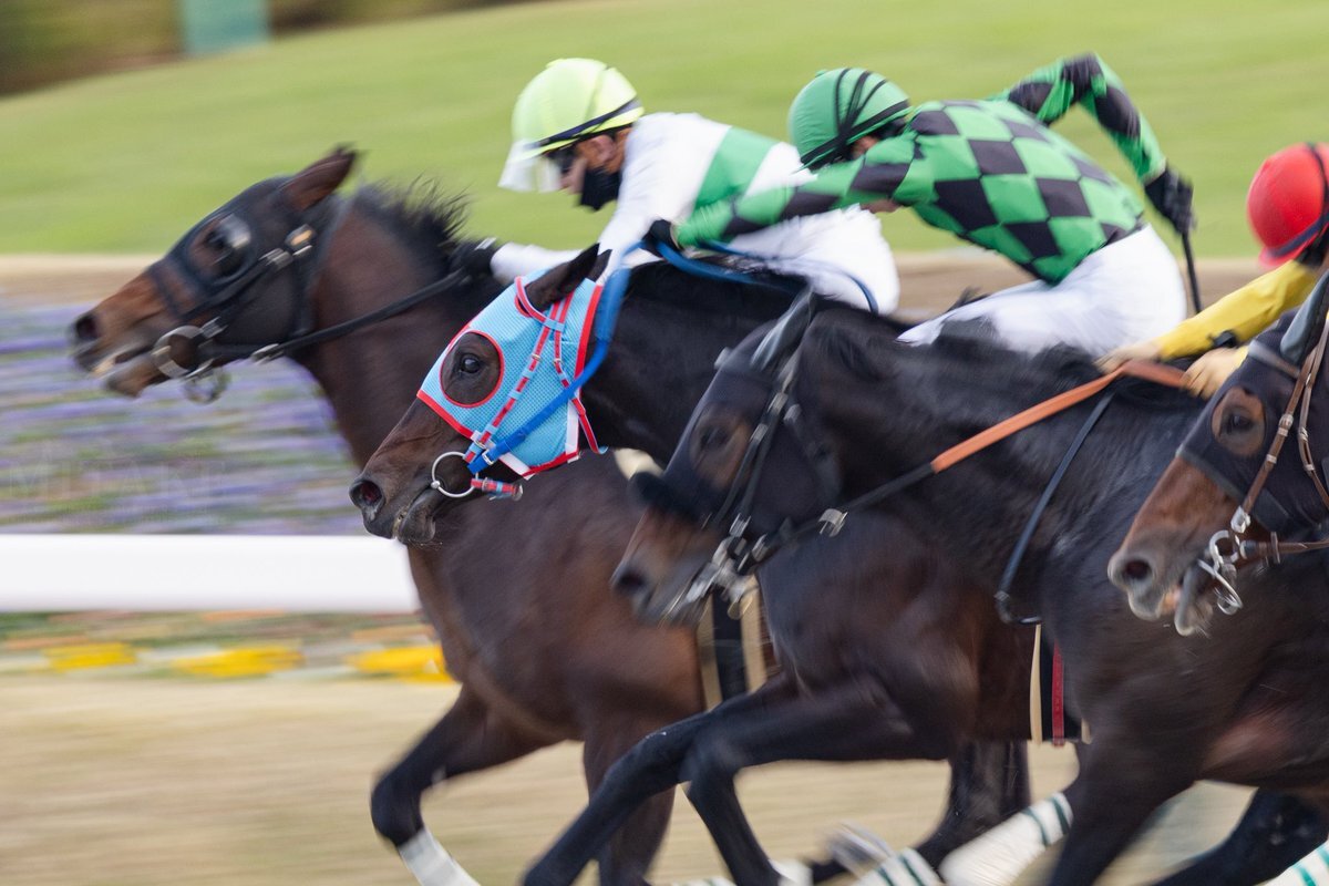 ポッドロゴ、なぜ勝利できた？