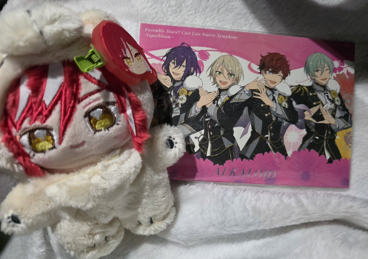 だーます、アンスタ10周年ライブで感動の涙！ファンも熱狂