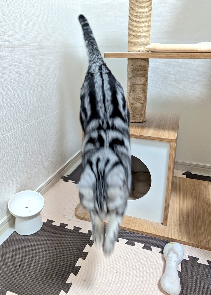 ユーザーが今週の始まりに「頑張っていきましょう」と励まし合う