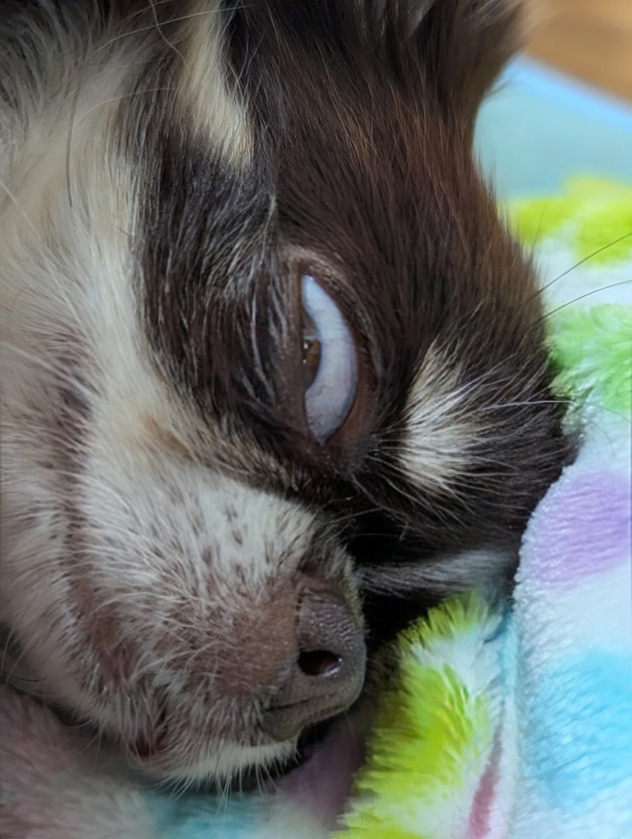 X（旧Twitter）で話題のおもしろ画像や動画 - Yahoo