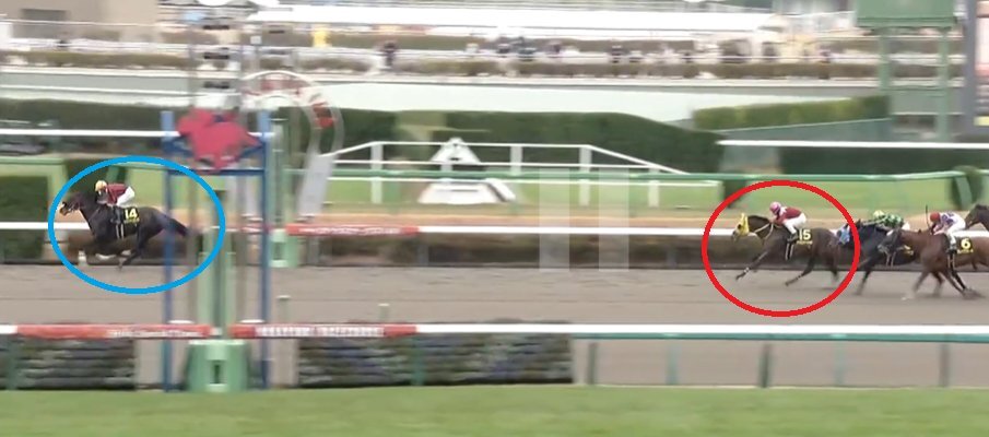 ヴァルツァーシャル、師走Sで2着！ファン「強すぎ」