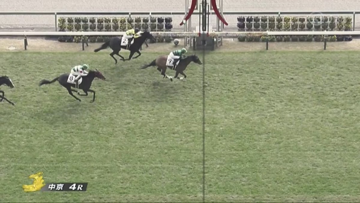 マーゴットガイア、中京競馬で2着！ファン「頑張れ！」