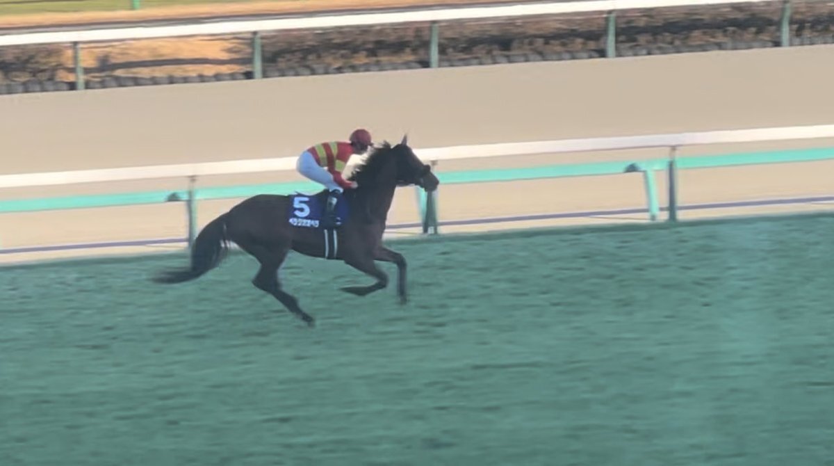 ソールオリエンス＆ベラジオオペラ、引退にファン惜しむ声