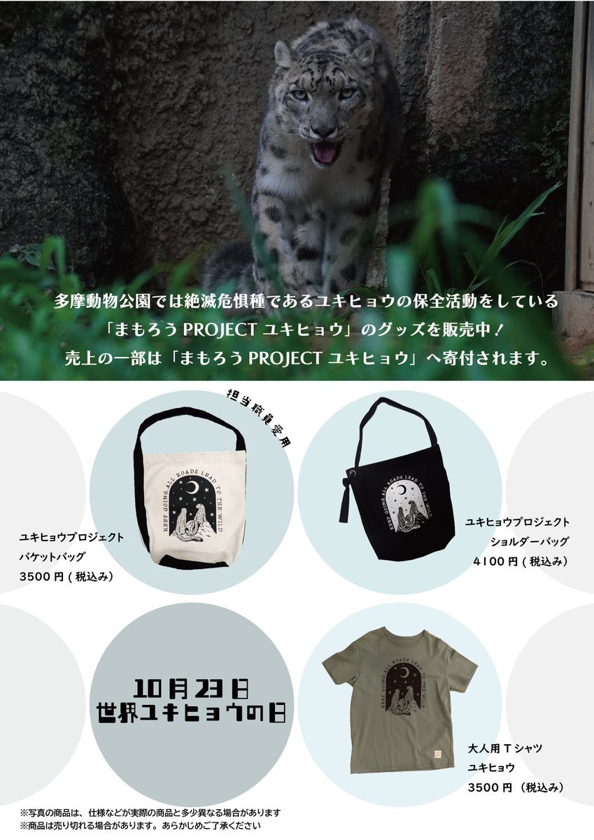 多摩動物公園のユキヒョウ、みんな元気？