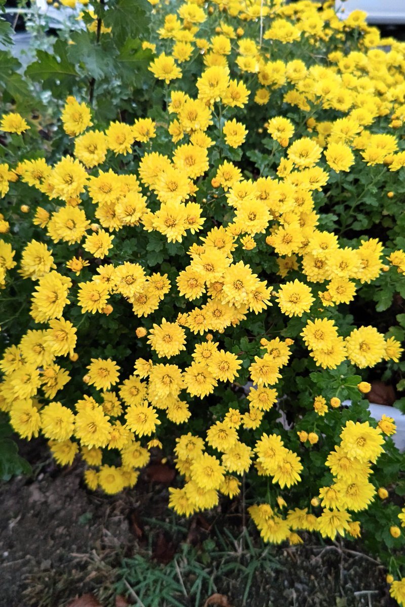 ゾロ目時刻、SNSで話題に