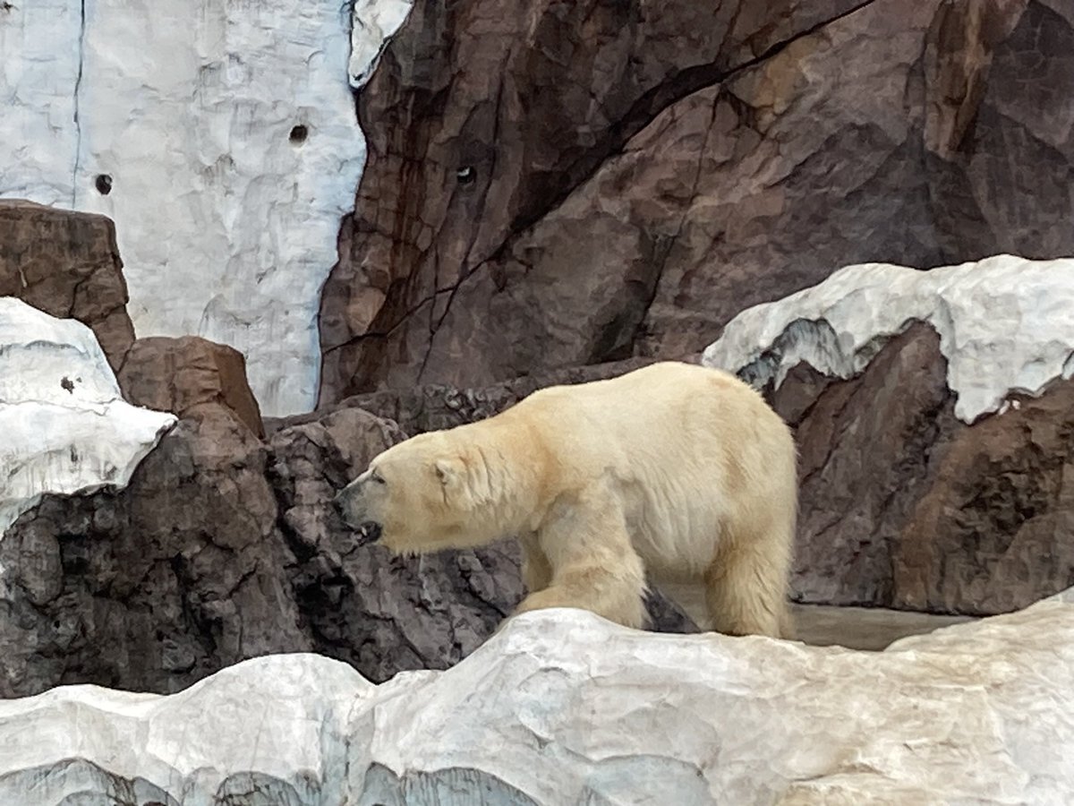 上野動物園パンダ返還に「不要」「外交辞めろ」の声