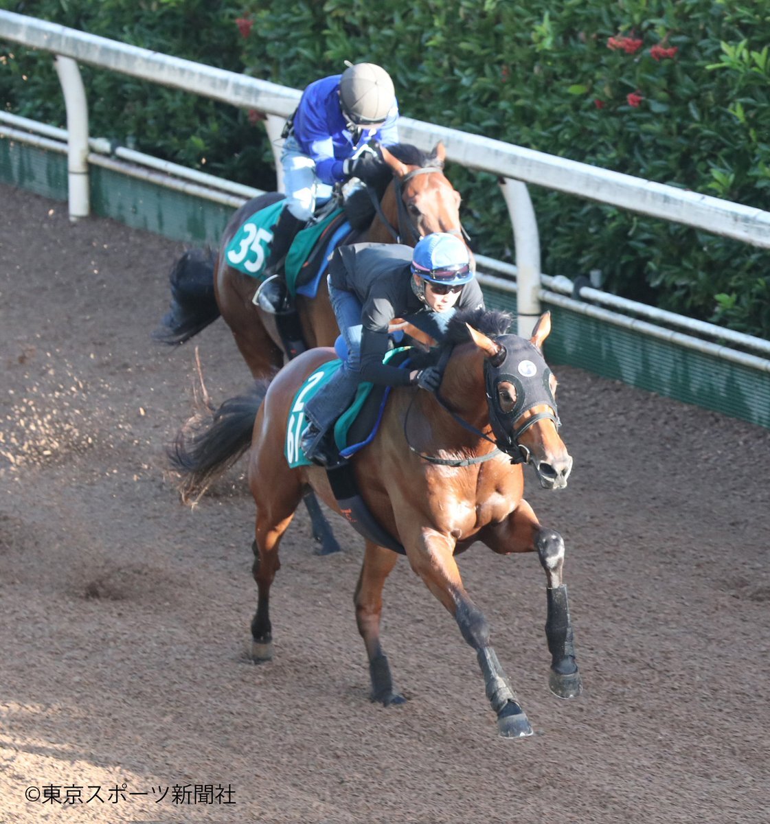 武豊 競馬 のtwitter検索結果 Yahoo リアルタイム検索