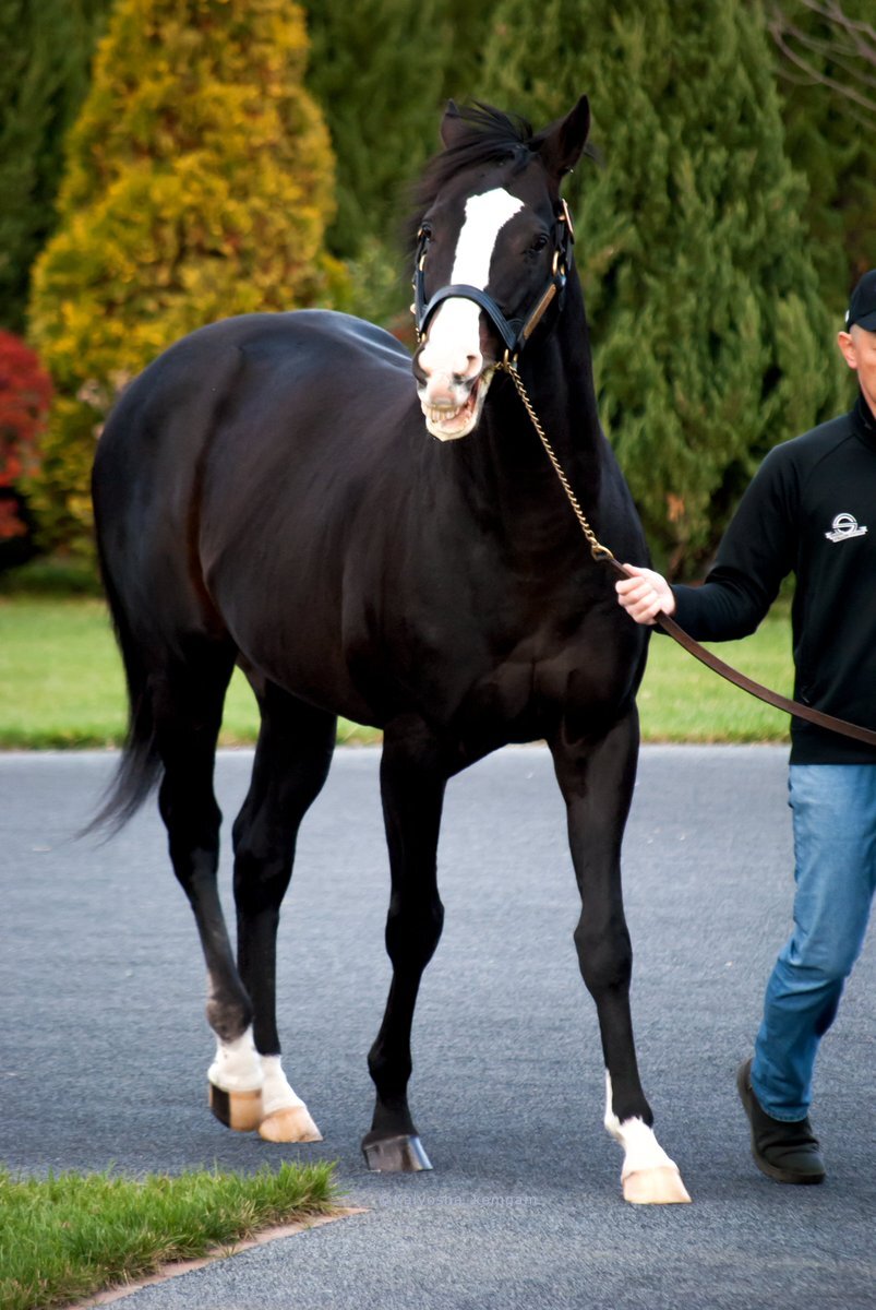 イスラボニータ」のYahoo!リアルタイム検索 - X（旧Twitter）を