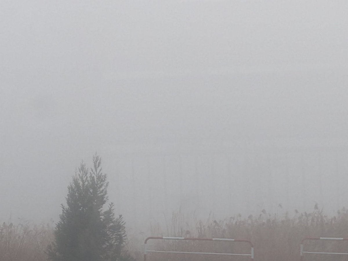 雨森小夜復帰にファン歓喜！「あの頃のロッキング・オン」が好きな人必見