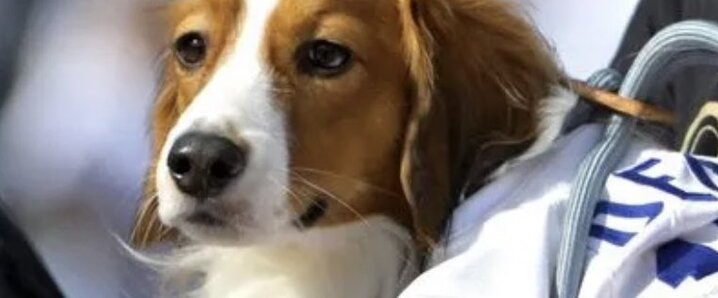 アンナチュラル劇中レプリカツナギコート2018ver