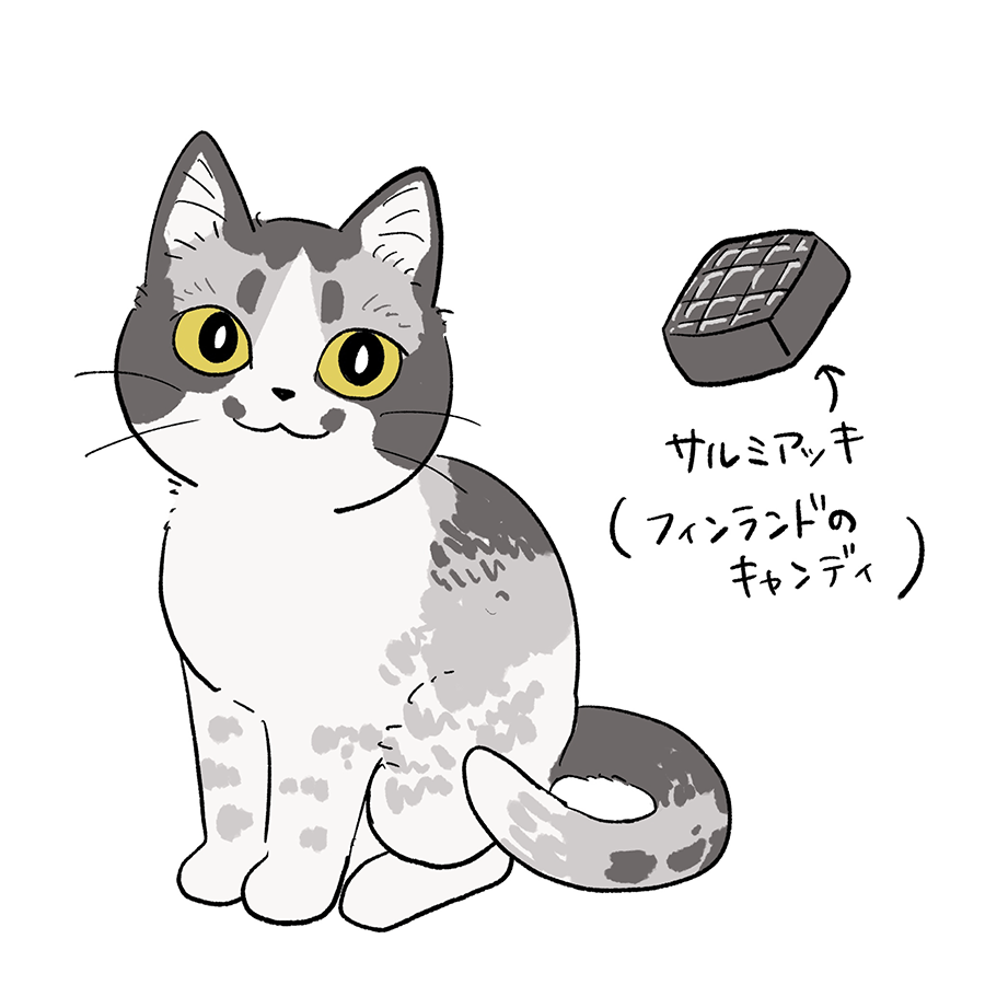 サルミアッキ猫、その可愛さにファン歓喜！ 独特な名前の由来も話題に