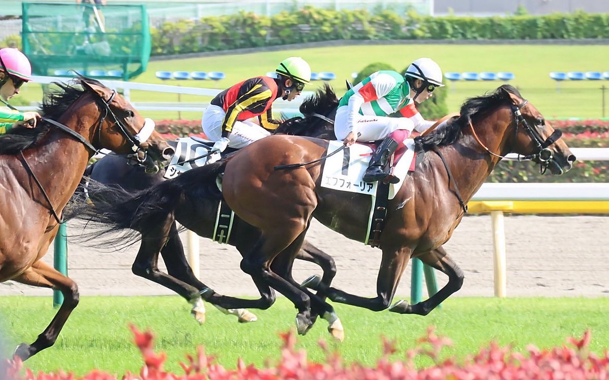 「ザ・ロイヤルファミリー」で話題の2021年ダービー、一体どんなレースだった？