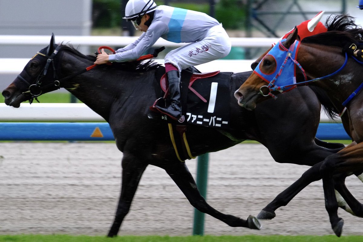 ファニーバニー、もみじステークスで3着！ 