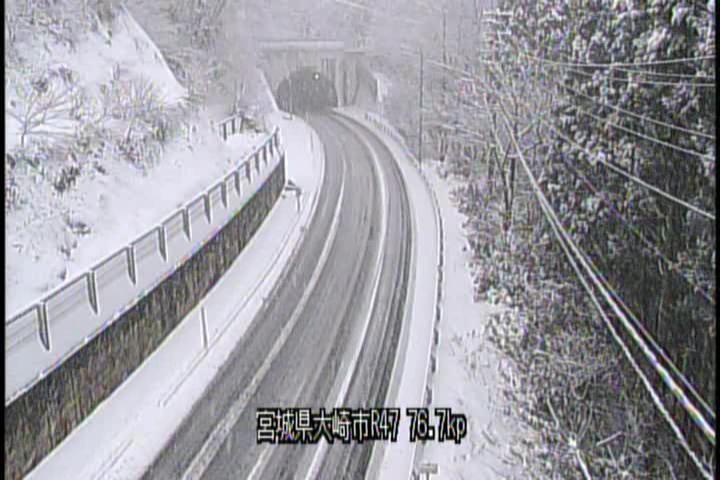 横浜青葉区、グルメから地域情報まで話題沸騰！